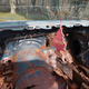 Illustration for article titled I Cut My Car In Half.